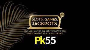 Descubra a Magia dos Jogos de Arcade no Pk55